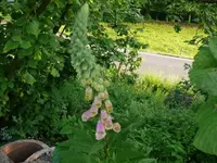 k-P1100840.webp