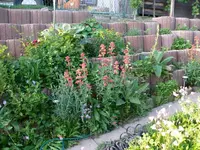 k-P1100883.webp