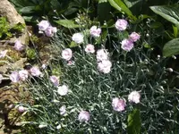 BILD5025.webp