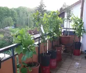 k-P1100795.webp