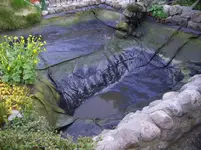 100_1958.webp 100_1958.webp