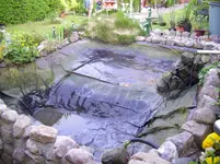 100_1961.webp 100_1961.webp