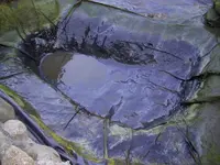 100_1962.webp 100_1962.webp