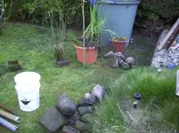 100_1964.webp 100_1964.webp