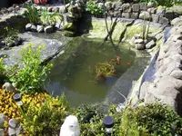 100_1966.webp 100_1966.webp