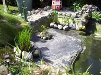 100_1967.webp 100_1967.webp