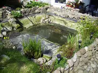 100_1968.webp 100_1968.webp