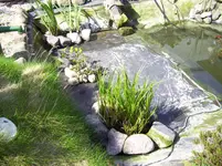 100_1969.webp 100_1969.webp