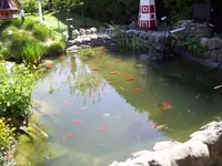 100_1972.webp 100_1972.webp