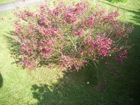 100_1974.webp 100_1974.webp