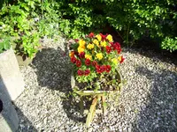 100_1980.webp 100_1980.webp