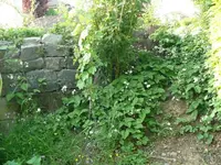 k-P1100813.JPG
