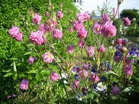 100_1985.webp 100_1985.webp