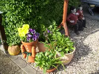 100_1990.webp 100_1990.webp