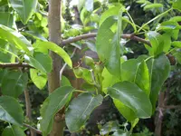 100_1991.webp 100_1991.webp