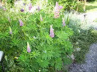 100_2007.webp 100_2007.webp