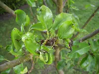 100_2008.webp 100_2008.webp