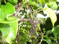 100_2009.webp 100_2009.webp