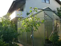 k-P1100848.webp