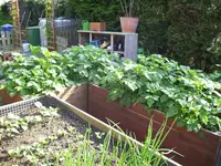 100_1997.webp 100_1997.webp