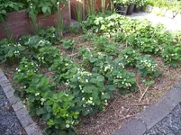 100_1999.webp 100_1999.webp