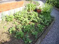 100_2000.webp 100_2000.webp