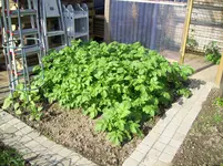 100_2001.webp 100_2001.webp