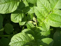 100_2002.webp 100_2002.webp