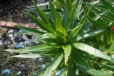 SAM_1412.webp