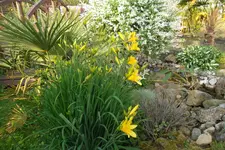 SAM_1415.webp