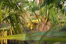 SAM_1420.webp