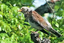 DSCF6016 (2).webp