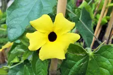 DSCF5998 (2).webp