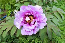 DSCF6004 (2).jpg