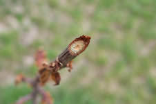 DSCF8584.webp