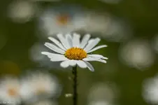 IMG_9875.jpg