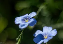 IMG_9887.jpg