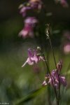 IMG_9928.jpg