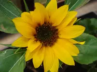 DSC05024.webp