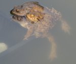 IMG_2056b.JPG