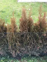 image.webp image.webp