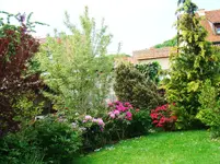 Farbranking Westflanke.webp