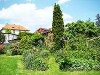 Ostflanke färbt sich.webp