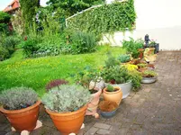 Reservearmee für Farblücken.webp