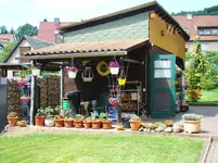 Spielzeugtomaten- Kolonie.webp