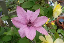 SAM_1427.webp