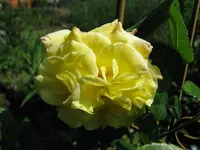 IMG_4794.webp