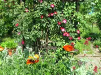 IMG_4803.webp
