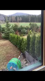 image.webp image.webp