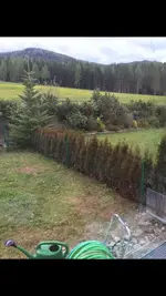 image.webp image.webp